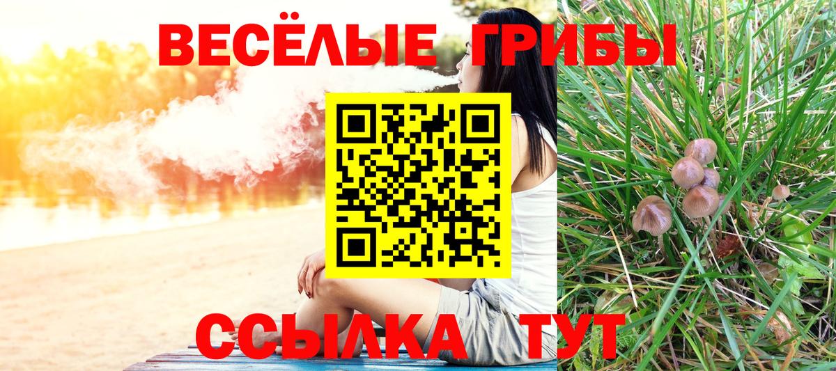 Галлюциногенные грибы мицелий Свободный