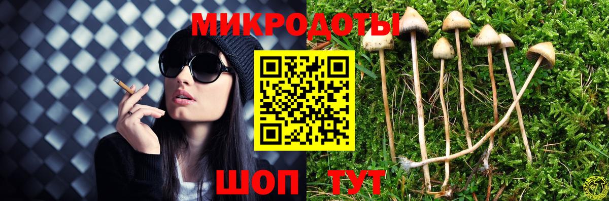 Свободный  Псилоцибиновые грибы GOLDEN TEACHER  Вход с VPN  Псилоцибиновые грибы ЛСД 